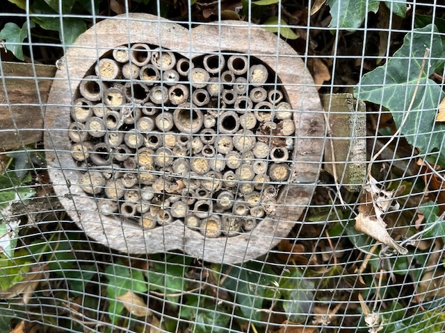 un exemple d'hôtel avec larves dormeuses...