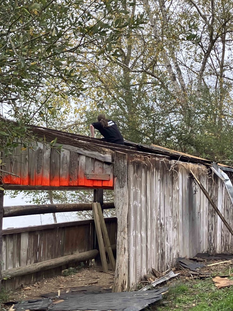 pendant la destruction de l'ancien toit
