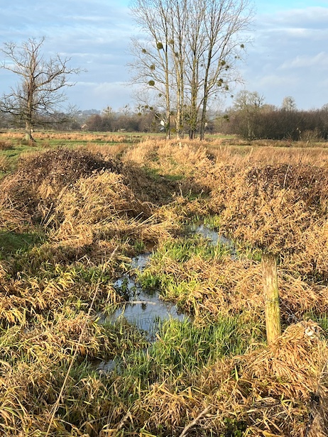 L'eau prend son temps pour s'écouler!