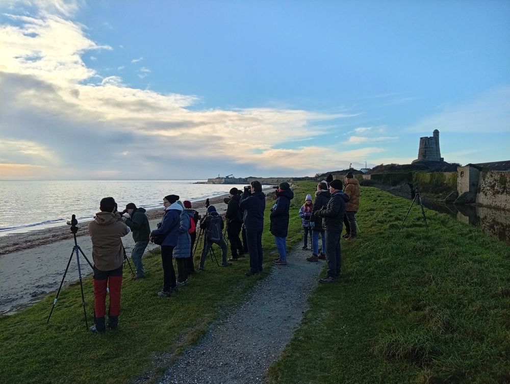 Ils sont bien 19. Photo : Régis Purenne