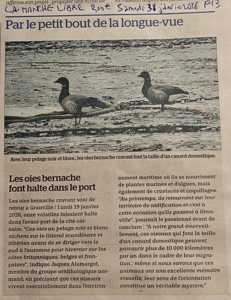 Granville_ML_202601.jpg (633.25 Kio) Vu 1573 fois La Manche Libre pages Granville 20260131