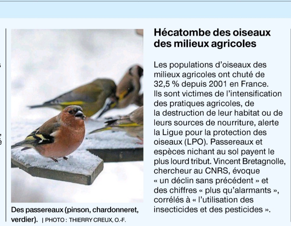 Oiseaux_OF_National_20260218