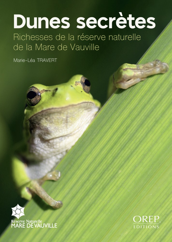 Secret de dunes COUV.jpg