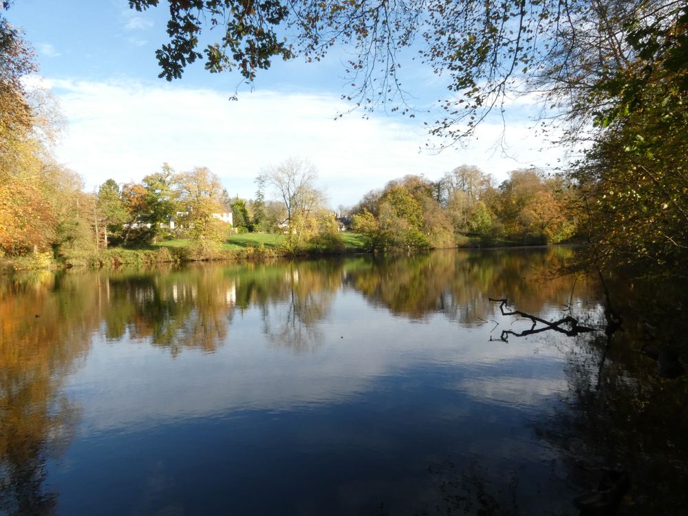 Un des deux étangs de Saint-Pierre-de-Sémilly/50 : perchoirs à cormorans et aigrettes au fond.