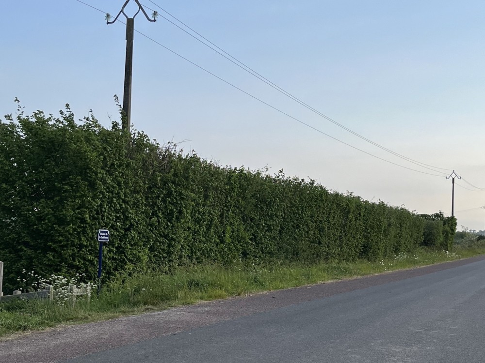 entretien de décapitation lié à la ligne électrique