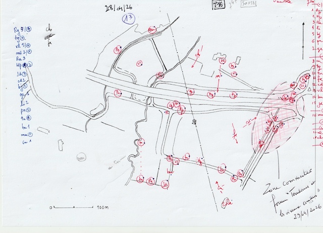 feuille de terrain, liste Tendances et dénombrement pour Faune Normandie en suivi