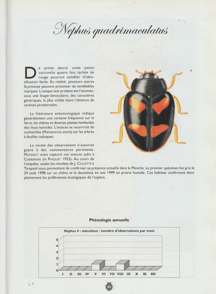 Scan 2.jpeg (359.05 Kio) Vu 3726 fois Une des deux espèces originales de la réserve