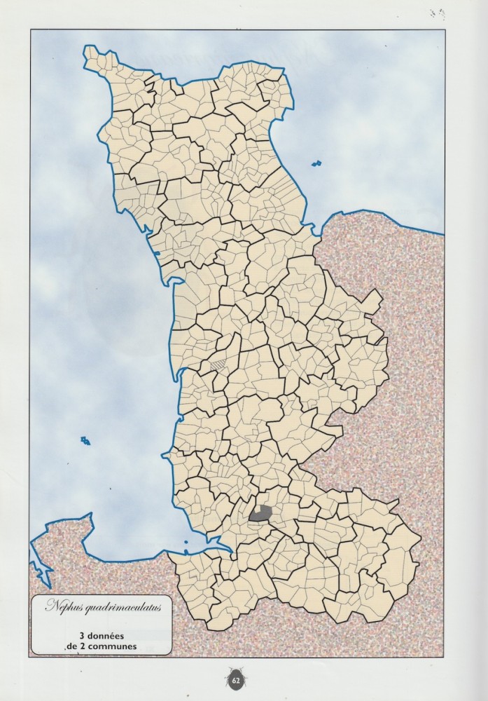 Scan 3.jpeg (401.66 Kio) Vu 3726 fois Cartographie de l'espèce; la seconde commune (hachures), Coutances, avait fourni une donnée ancienne rapportée par Pasquet en 1923.