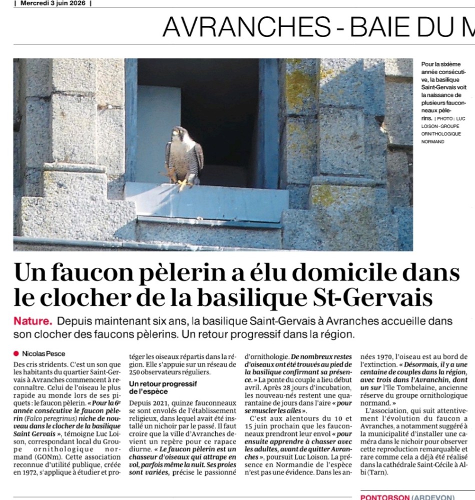 Avranches_pelerin_20260603_Ouest-France - Le journal.jpg (403.25 Kio) Vu 2775 fois Ouest-France_Avranches_20260603
