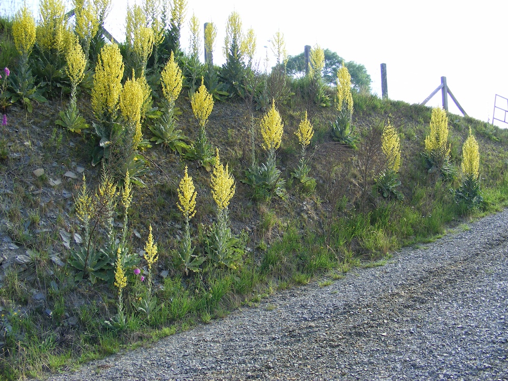 La première station en juin 2010