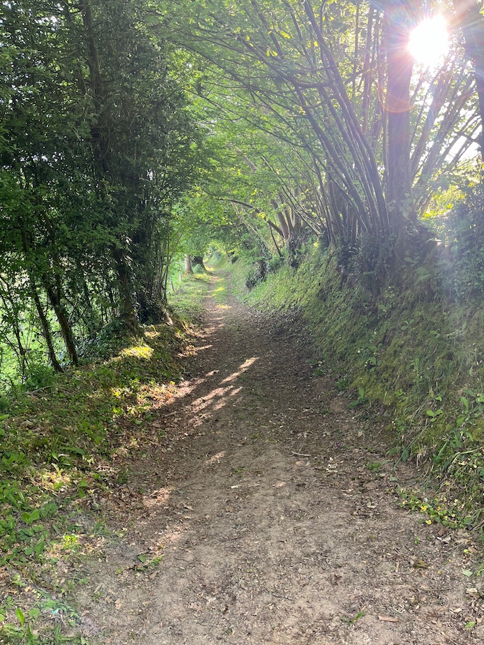 Les talus du chemin communal (Saint-Georges-de-Livoye) sont passés à la débroussailleuse (Mai 2026).