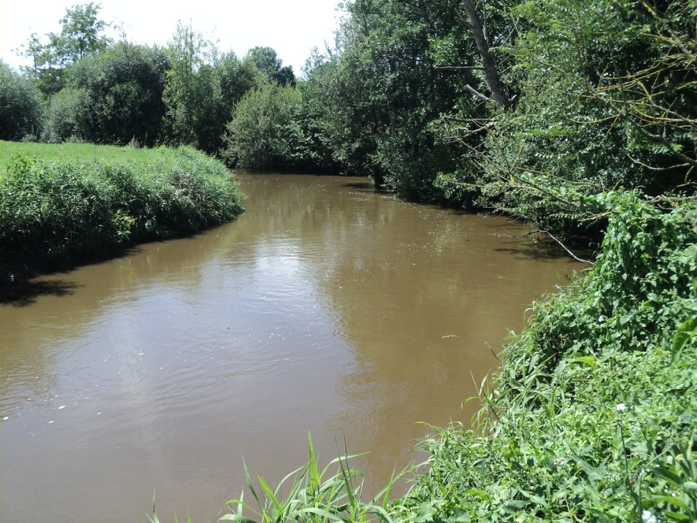 F-Juillet 2013.JPG (582.66 Kio) Vu 3349 fois Suite logique : juillet 2013 (un exemple parmi d'autres), à Tirepied la Sée charrie de la boue après une forte pluie.