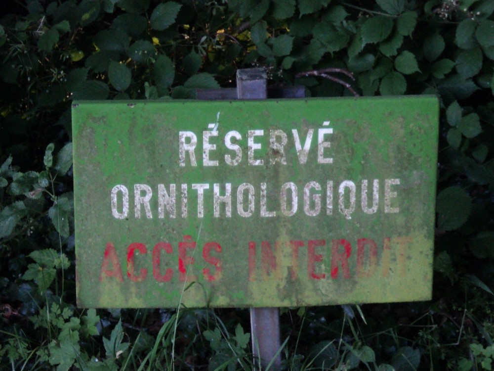 La réserve de la Dathée avait profité dès sa création de panneaux émaillés robustes offerts par la municipalité. Avec le temps, ils ont été un peu enfouis dans la végétation mais sont restés visibles - avec leur faute d'orthographe!