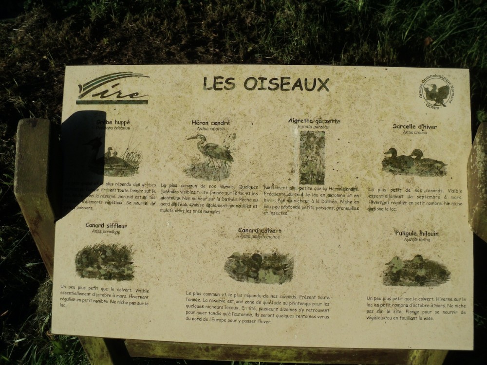La dégradation due au temps est un ennemi implacable, sauf à remplacer régulièrement le document si le coût est supportable (ce qui a pour corollaire sa fragilité), ou au moins à l'entretenir d'un coup d'éponge.