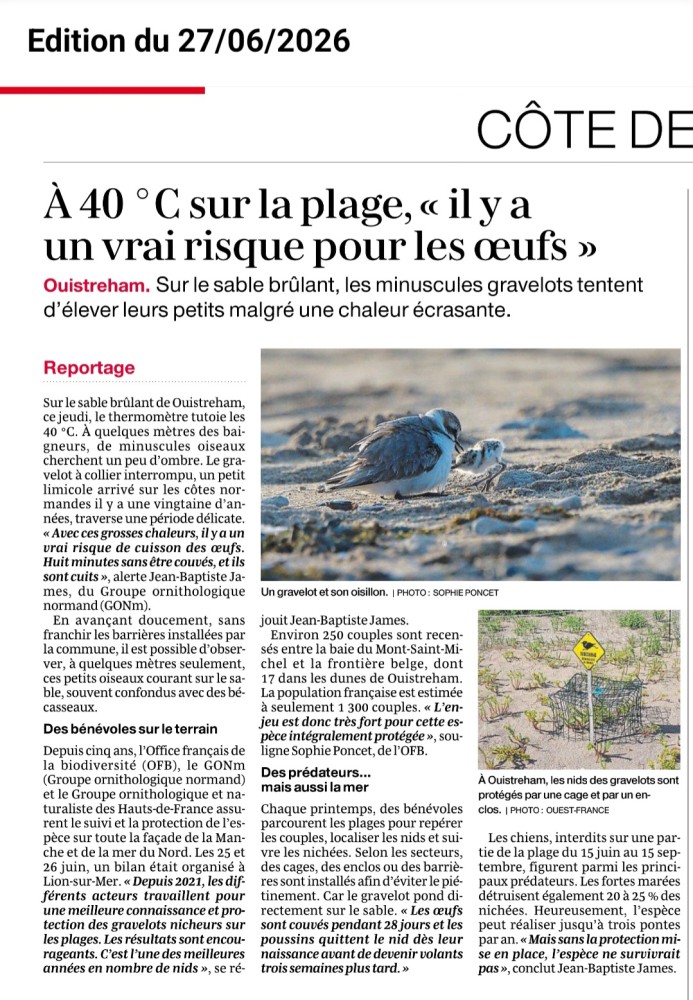 Gravelot_20260627_Ouest-France - Le journal.jpg