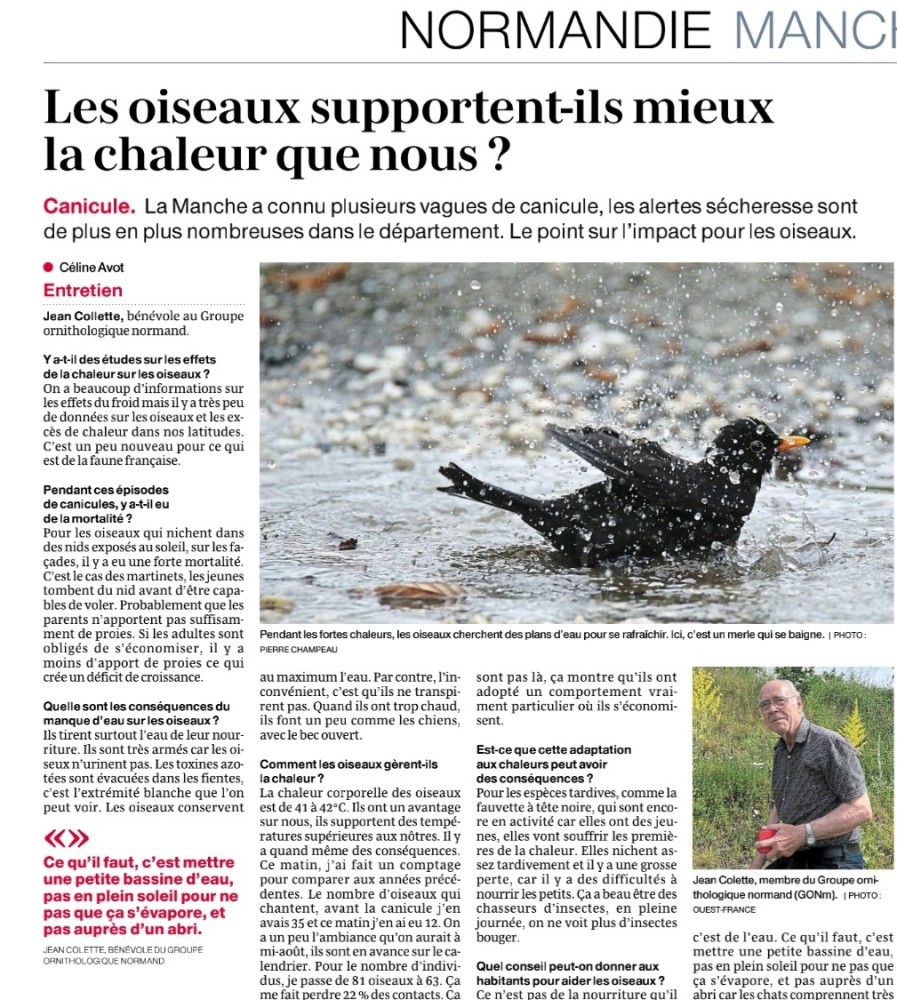 Screenshot_20260721_094547_Ouest-France - Le journal.jpg (540.59 Kio) Vu 1115 fois Ouest-France, page Manche, 21 juillet 2026