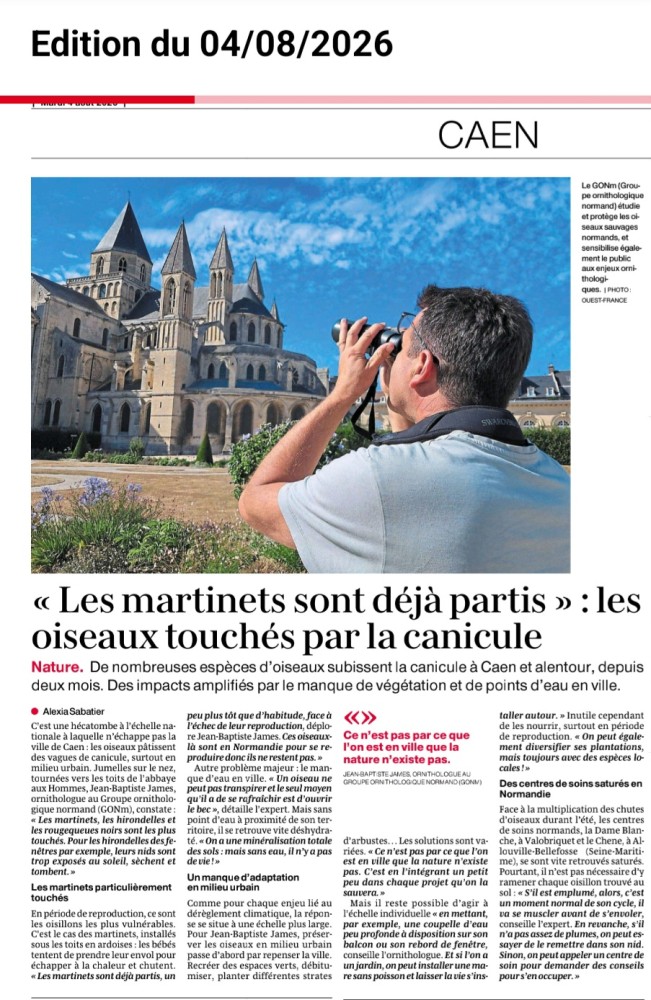 canicule_OF_20260804.jpg (494.77 Kio) Vu 2173 fois Ouest-France-Caen-20260804