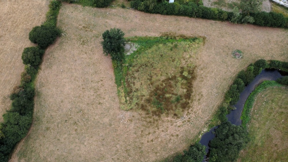 ilot central en exclos (photo Th. Grandguillot 29 juillet 2026)