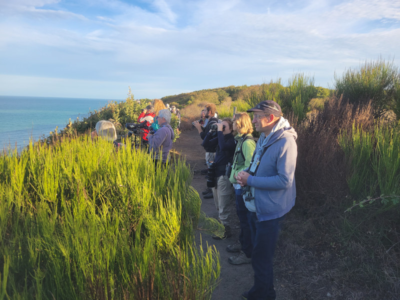 une partie des observateurs sur les falaises -photo Xavier Corteel