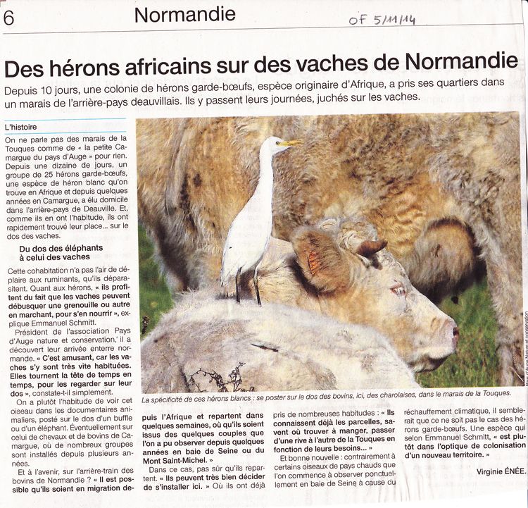 Dans Ouest-France du 5 novembre 2014