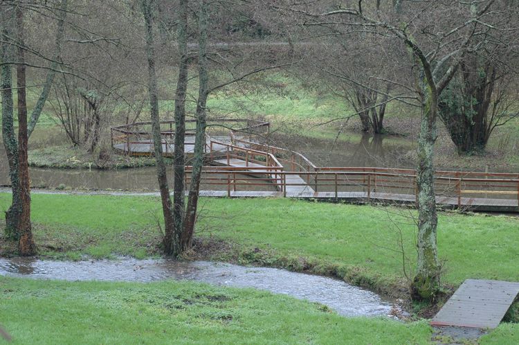 Mare aménagée fréquentée par les poules d'eau, le héron cendré, le martin-pêcheur et parfois l'aigrette garzette.
