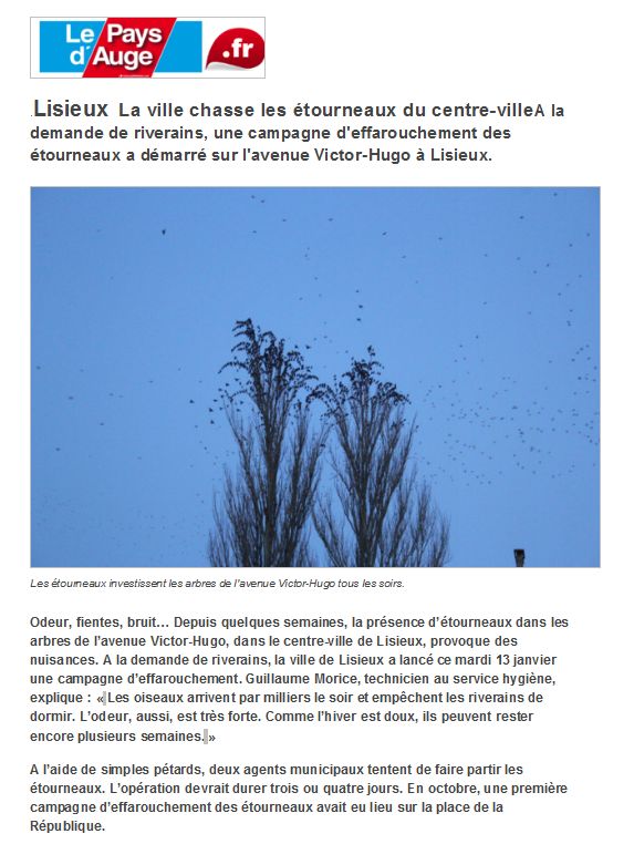 Article du &quot;Pays d'Auge&quot;, hebdomadaire local.