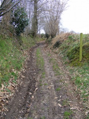 &quot;Large chemin&quot; pour laisser une place au piéton en cas de rencontre avec 4x4