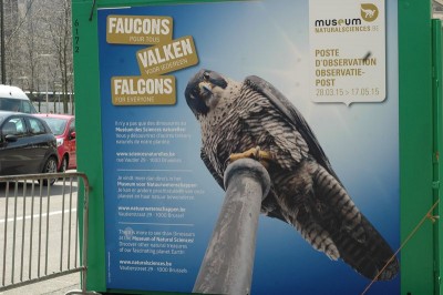 Affichage sur le parvis de la cathédrale.