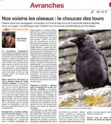 Nos voisins les oiseaux OF
