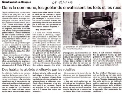 Goélands