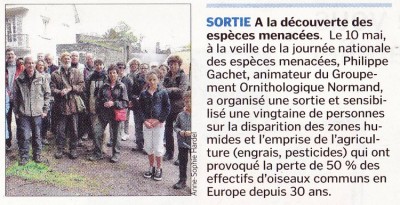 Animation en bord de Vire Saint-Lô. Manche Libre