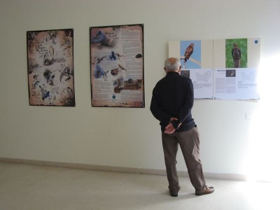 Visuels &quot;Rapaces diurnes&quot; et premier panneau.