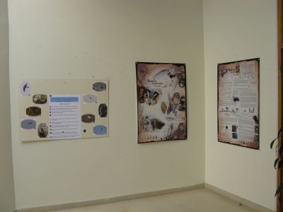 Panneau ludique et visuels &quot;Rapaces nocturnes&quot;
