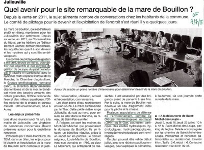 Réflexion autour de la mare de Bouillon. OF_07_07_2015