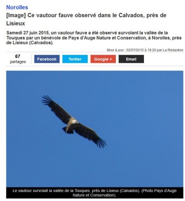 Normandie Actu_ 02/07/2015