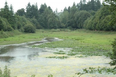 etangevequePga.jpg (145.96 Kio) Vu 8904 fois L'étang principal. (Photo : P.Gachet)