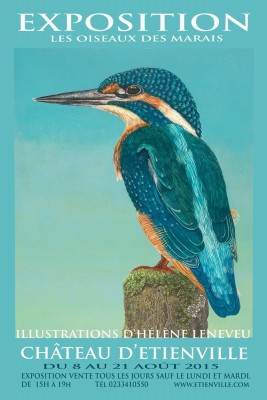 Affiche de l'exposition &quot;Oiseaux des marais&quot;