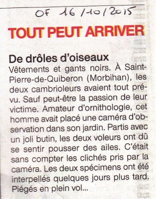 cameraOF16102015.jpg (91.3 Kio) Vu 7537 fois Tout peut arriver... OF 16_10_2015