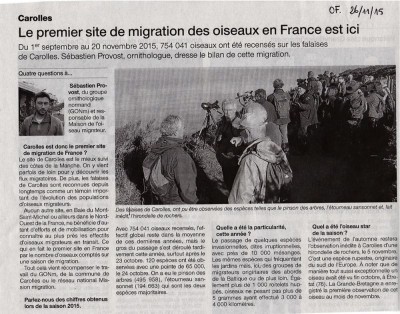 Migration à Carolles_OF