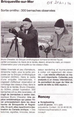 WetlandsBricqueville50OF20_01_2016.jpg (194.22 Kio) Vu 7998 fois Wetlands50OF20_01_2016