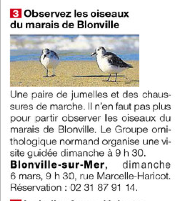 Animation à Blonville OF