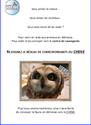 Le Chêne1.PNG