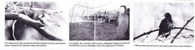 La légende de la photo de l'étourneau hors sujet?