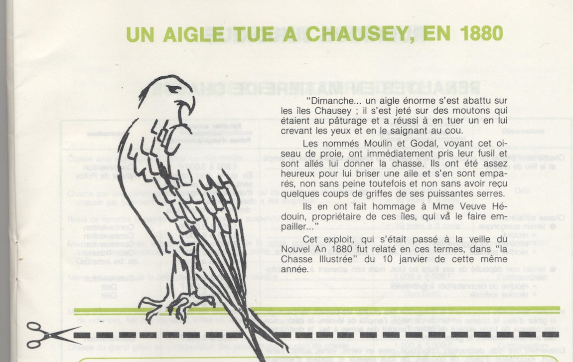 Un aigle énorme.jpg