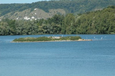 DSC_8769.JPG (65.73 Kio) Vu 12454 fois L'île aux mouettes
