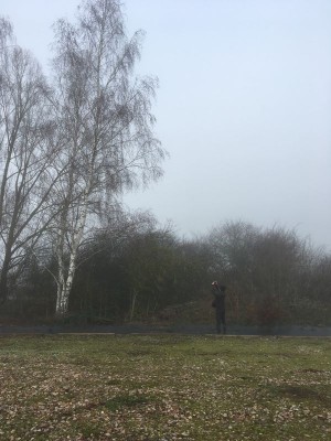 recherchesiizerinRR.jpeg (95.1 Kio) Vu 12066 fois Le sizerin dans son milieu (Robin Rundle)