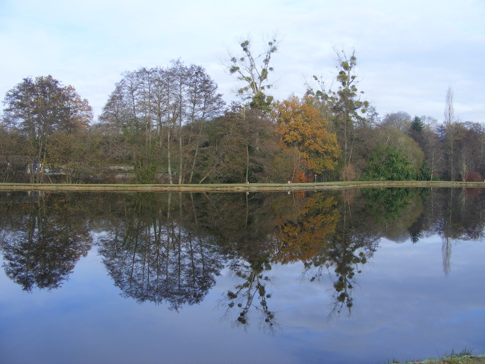 Le Bieu vu de la rive de l'étang.JPG