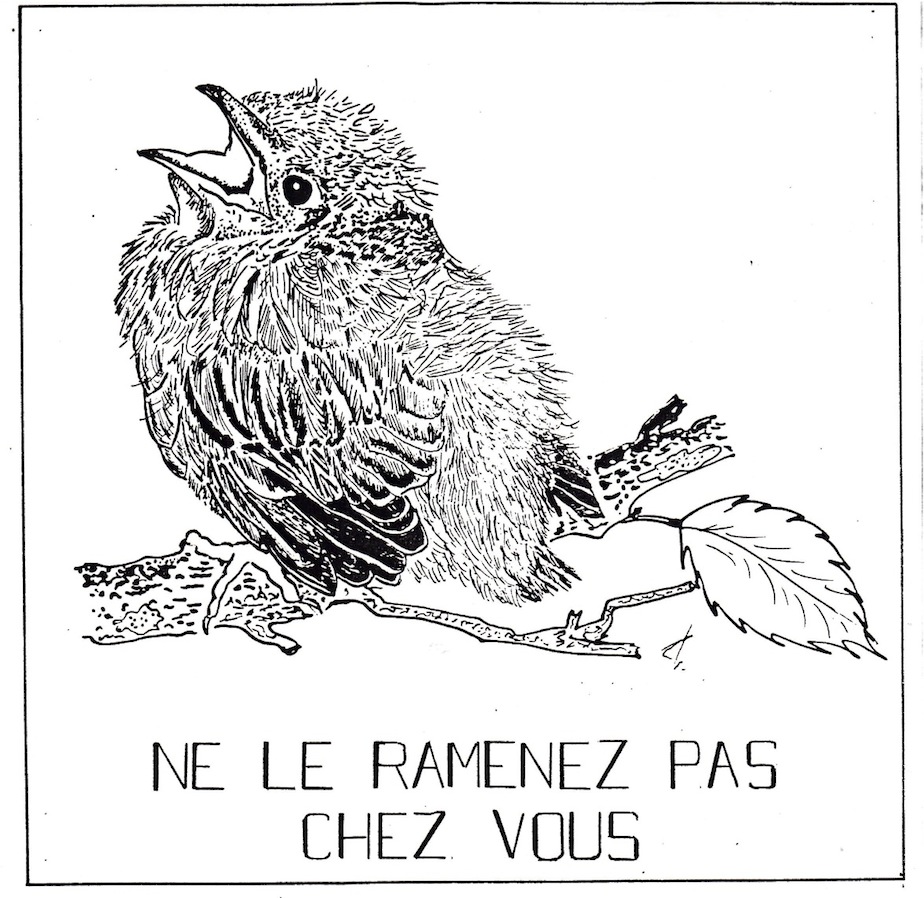 Dessin passe partout à l'encre JCo (de mémoire reproduit à partir d'un document anglais?)