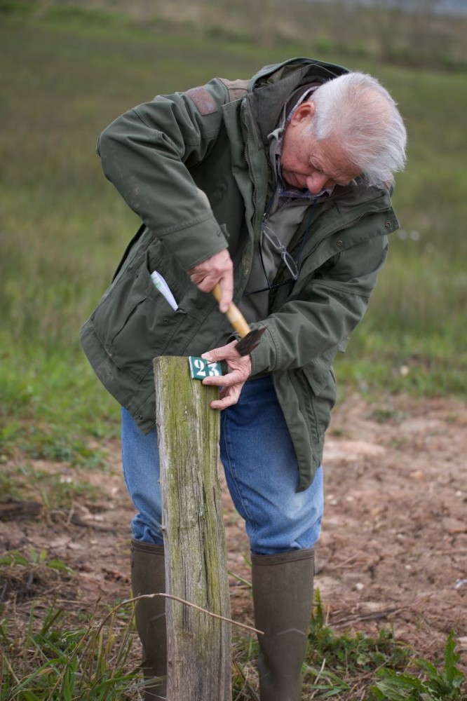 BA7A4073.jpg (123.92 Kio) Vu 22521 fois Pose du n°