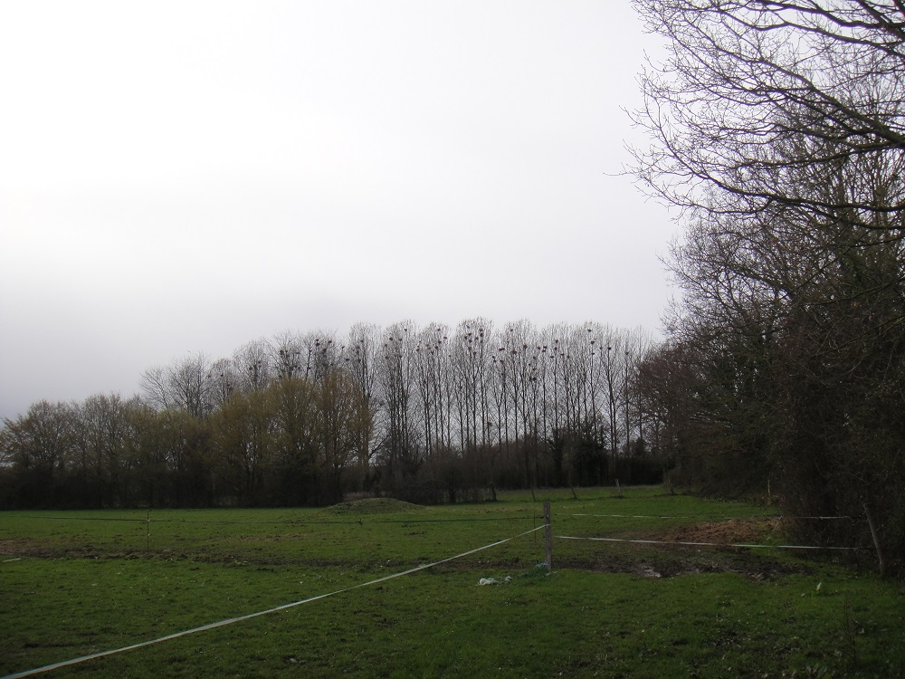 corbeautière au Val Saint Père.JPG